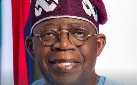 Tinubu’s Five-Port Trade Corridor Initiative, Catalyst for Economic Growth and Productivity — TMSG