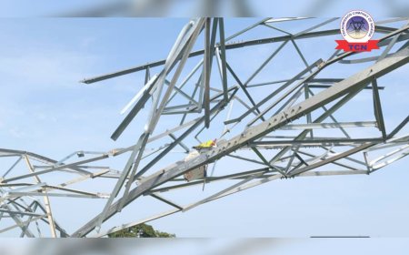 NOTICE OF ANNUAL MAINTENANCE AT 330/132kV AJAOKUTA TRANSMISSION SUBSTATION