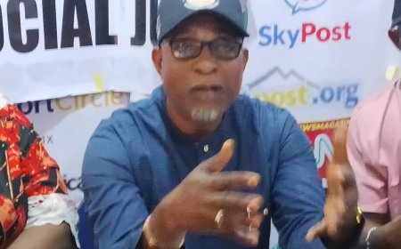 Diaspora Boys Movement Mobilises Nigerians in 100 Countries for Tinubu’s 2027 Re-election