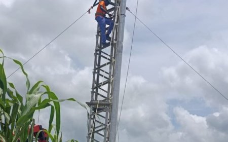 TCN Records Progress in Rehabilitation of Kainji–Birnin Kebbi 330kV Transmission Line