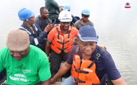 TCN Begins Rehabilitation of Vandalised Ikot Abasi–Eket 132kV Line