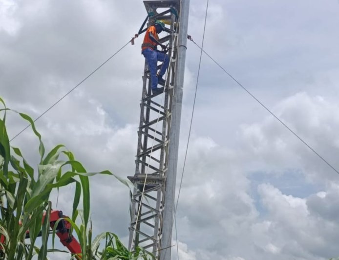 TCN Records Progress in Rehabilitation of Kainji–Birnin Kebbi 330kV Transmission Line