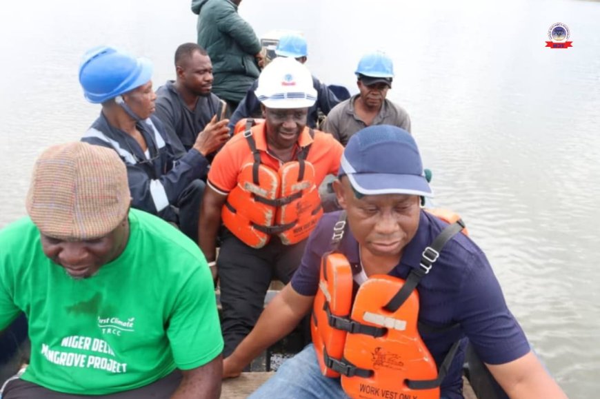 TCN Begins Rehabilitation of Vandalised Ikot Abasi–Eket 132kV Line