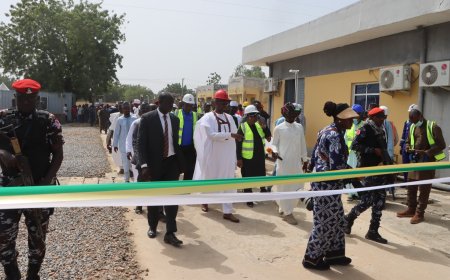 FG Invests in Katsina Power Infrastructure as Mashi Substation Targets March 2027 Completion
